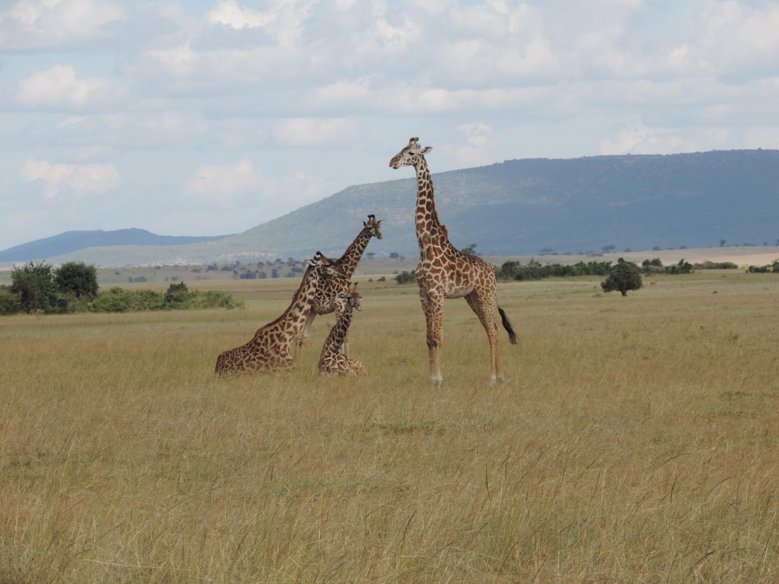 lake manyara tanzania